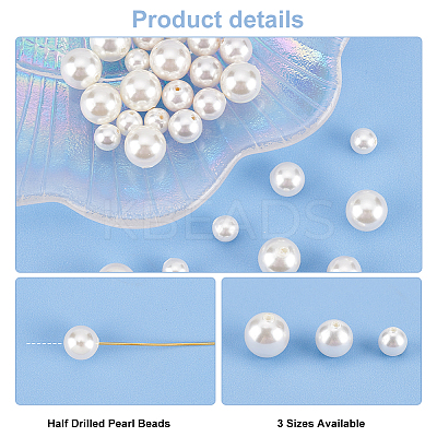 30Pcs 3 Sizes Shell Pearl Beads BSHE-PH0001-21-1