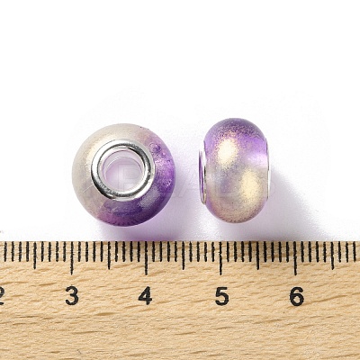 Two Tone Resin European Beads LS-RESI-M001-02G-1