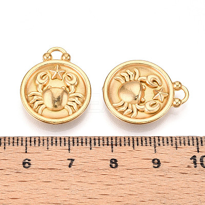 304 Stainless Steel Pendants STAS-N109-148G-04-1