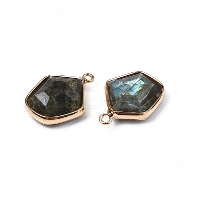 Natural Labradorite Pendants G-S359-381-1