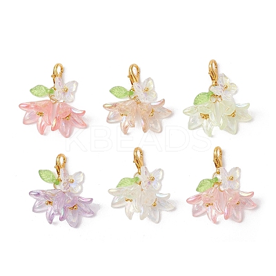 6Pcs Flower Butterfly Acrylic Pendant Decoration HJEW-JM02942-1