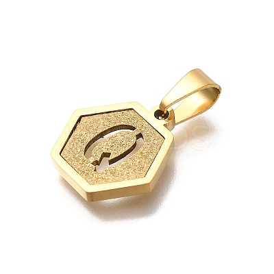 304 Stainless Steel Charms LS-STAS-H227-01G-Q-1