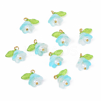 10Pcs Acrylic & Glass Flower Pendants PALLOY-YW00116-02-1