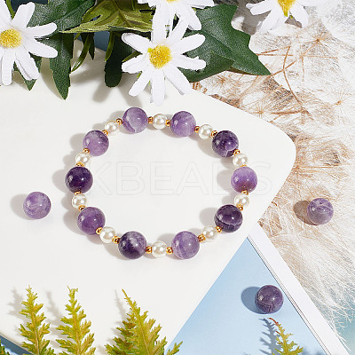 Natural Amethyst Beads Strands G-OC0001-63-10mm-1