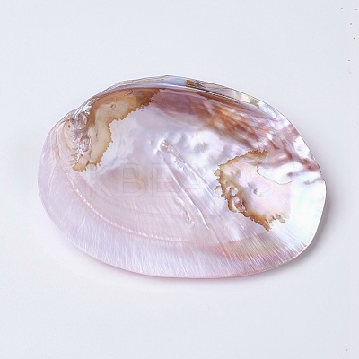 Natural Freshwater Pearl Shell Decoration SHEL-K002-01A-1