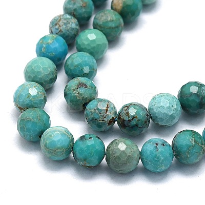 Natural HuBei Turquoise Beads Strands G-G106-C12-07-1