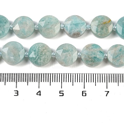 Natural Amazonite Beads Strands G-C116-A23-01A-1