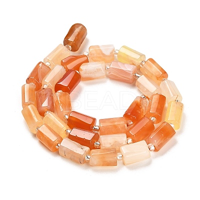 Natural Red Botswana Agate Beads Strands G-G068-A18-01-1