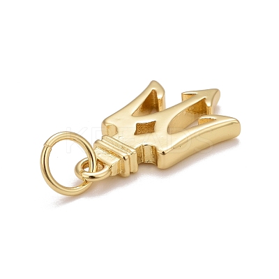 Rack Plating Eco-friendly Brass Charms KK-D076-01G-1