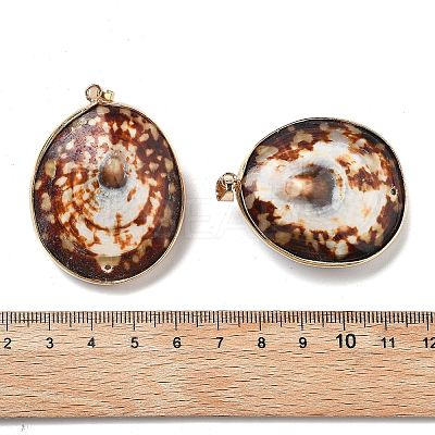 Electroplate Natural Shell Pendants KK-F882-03G-1