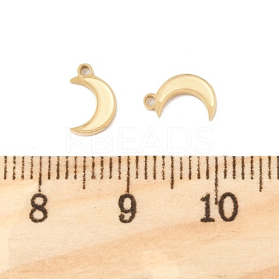 304 Stainless Steel Charms STAS-L022-546G-1