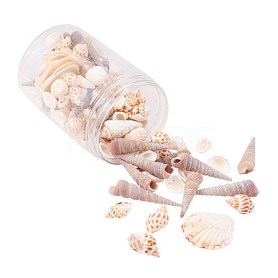 Natural Scallop Shell Beads SSHEL-CJ0001-02-1