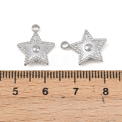 304 Stainless Steel Pendants STAS-I363-14P-1