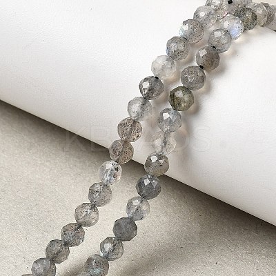 Natural Labradorite Beads Strands G-H336-A08-05-1