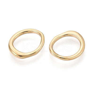 304 Stainless Steel Charms STAS-T069-88G-02-1