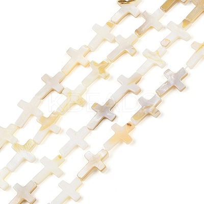 Natural Freshwater Shell Beads Strands BSHE-G036-05B-1
