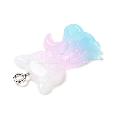 Translucent Resin Pendants RESI-G069-03B-1