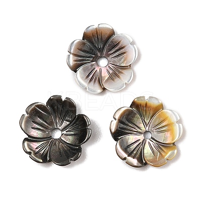 Natural Black Lip Shell Carved Beads SSHEL-I026-12A-04-1