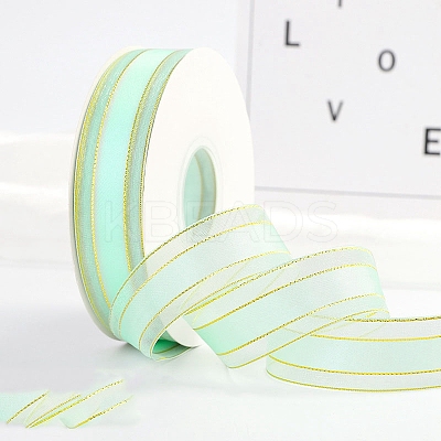 Polyester Organza Ribbons with Gold Edge PW-WG44996-07-1