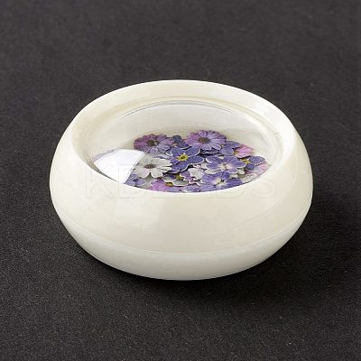 DIY Crystal Epoxy Resin Material Filling DIY-E036-20-1