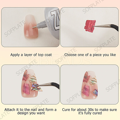 1 Set 12 Colors Shell Slices MRMJ-SP0001-05A-1