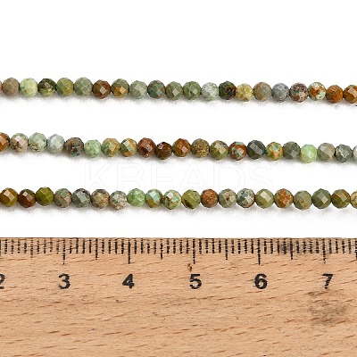 Natural HuBei Turquoise Beads Strands GG-CBA4399-A01-02-1