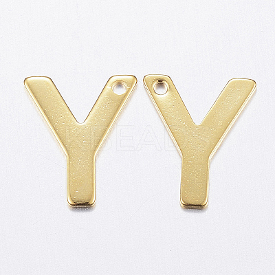 304 Stainless Steel Charms LS-X-STAS-P141-Y-1