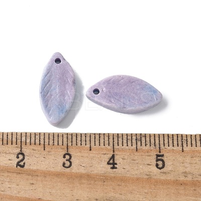 Natural Rainbow Alashan Agate Pendants G-G194-03-1