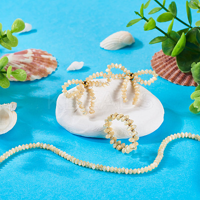 1 Strand Natural Trochus Shell Rondelle Beads Strands SSHEL-TA0001-16B-1