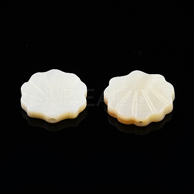 Natural Freshwater Shell Beads LS-X-SHEL-T007-02-1
