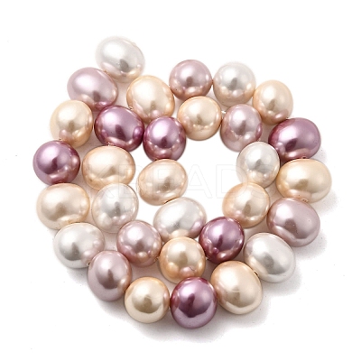 Shell Pearl Beads Strands BSHE-F013-01P-1
