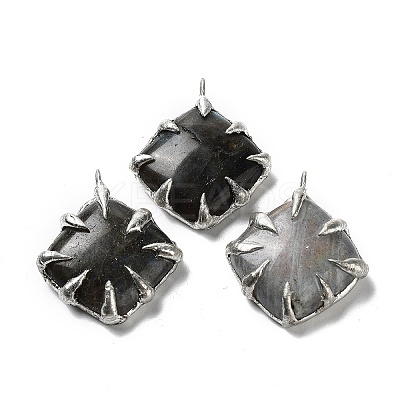 Natural Labradorite Pendants G-G069-02P-1