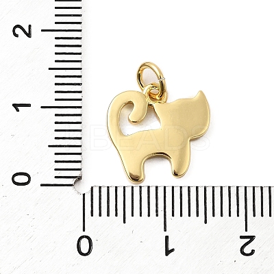 Brass Enamel Charms KK-A268-18G-02-1