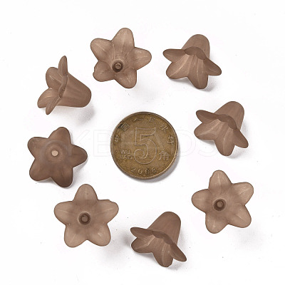Transparent Acrylic Beads PLF018-14-1