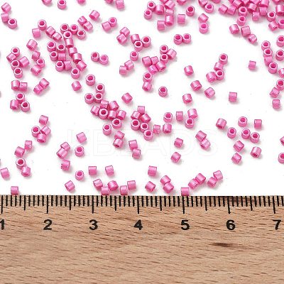 Baking Paint Glass Seed Beads X-SEED-S042-15B-27-1