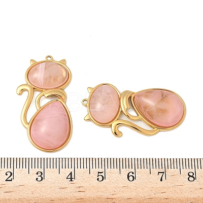 304 Stainless Steel Resin Pendants STAS-V015-59G-01-1