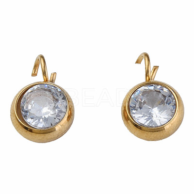 201 Stainless Steel Clear Cubic Zirconia Charms STAS-N087-47G-1