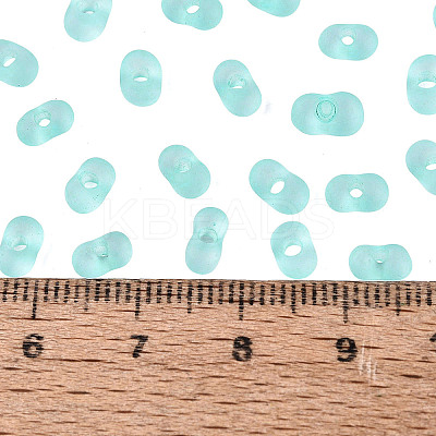 FGB Frosted Transparent Glass Seed Beads SEED-N013-06A-10-1