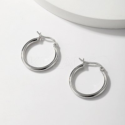 Vintage S925 Sterling Silver Hoop Earrings NK6073-1