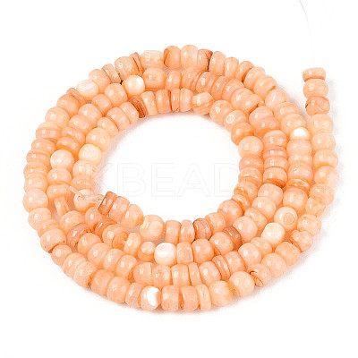 Natural Freshwater Shell Dyed Beads Strands SHEL-T020-29A-07-1