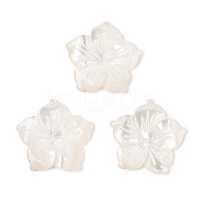 Natural White Shell Carved Beads SSHEL-I026-12E-06-1