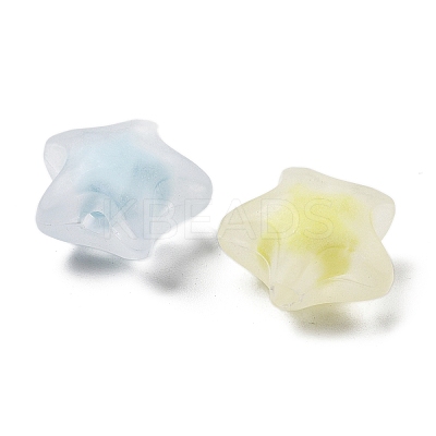 Frosted Transparent Acrylic Beads OACR-A032-13C-1