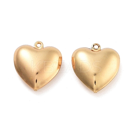 316 Surgical Stainless Steel Pendants STAS-B072-03G-02-1