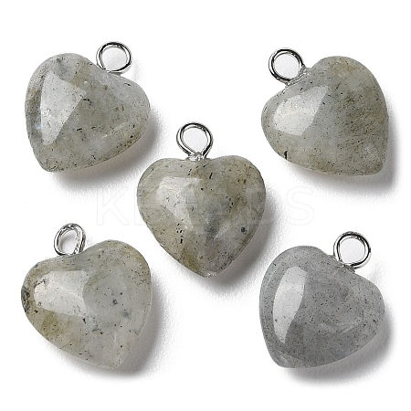 Natural Labradorite Pendants G-E603-01P-08-1