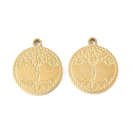 304 Stainless Steel Pendants STAS-R168-13G-1
