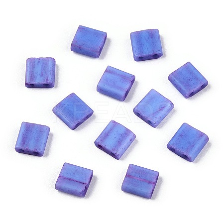2-Hole Opaque Glass Seed Beads SEED-N006-002-A01-1
