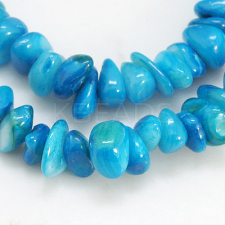 Natural Shell Beads Strands X-BSHE-D002-04-1