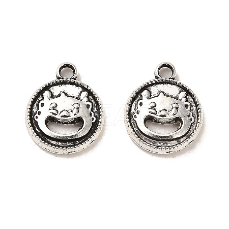 Tibetan Style Alloy Charmss FIND-C043-037AS-1