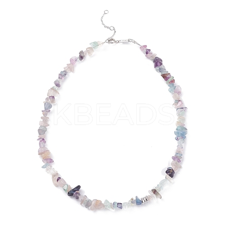 Natural Fluorite Chip Beaded Necklace NJEW-JN03824-02-1