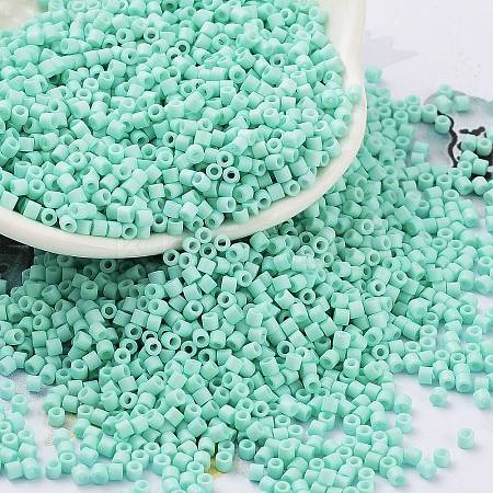 Baking Paint Glass Seed Beads SEED-S042-05B-61-1